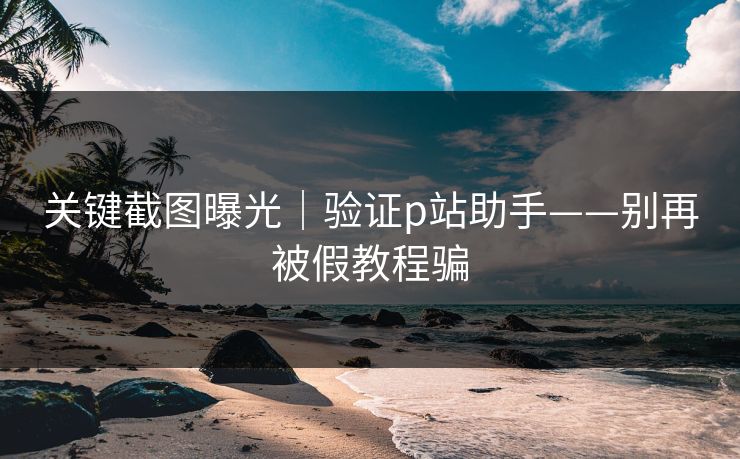 关键截图曝光｜验证p站助手——别再被假教程骗