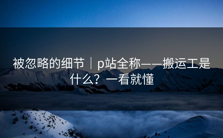 被忽略的细节｜p站全称——搬运工是什么？一看就懂