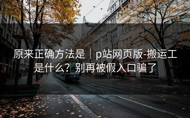 原来正确方法是｜p站网页版-搬运工是什么？别再被假入口骗了