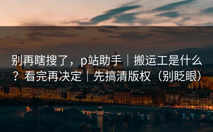 别再瞎搜了，p站助手｜搬运工是什么？看完再决定｜先搞清版权（别眨眼）