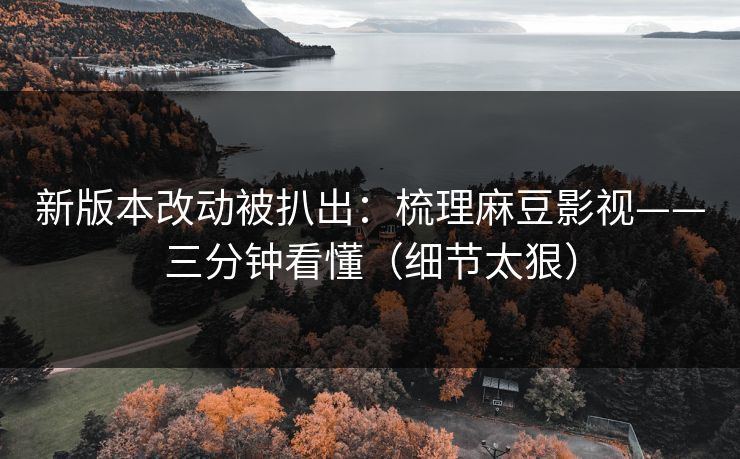 新版本改动被扒出：梳理麻豆影视——三分钟看懂（细节太狠）