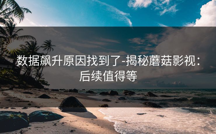 数据飙升原因找到了-揭秘蘑菇影视：后续值得等