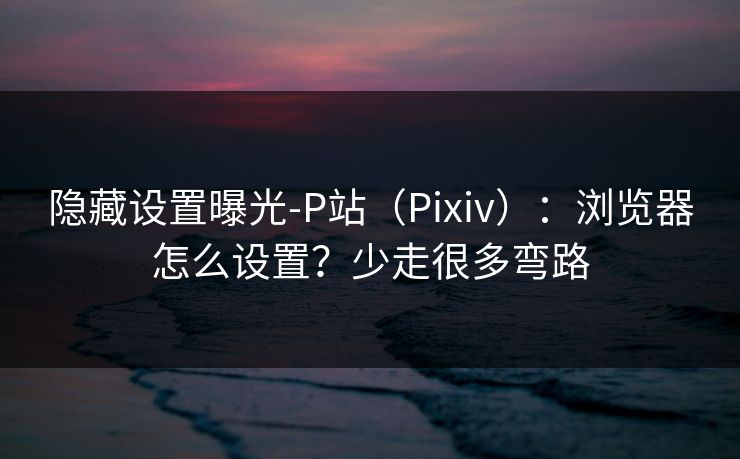 隐藏设置曝光-P站（Pixiv）：浏览器怎么设置？少走很多弯路