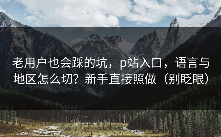 老用户也会踩的坑，p站入口，语言与地区怎么切？新手直接照做（别眨眼）