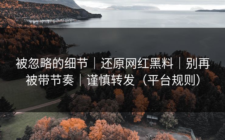 被忽略的细节｜还原网红黑料｜别再被带节奏｜谨慎转发（平台规则）