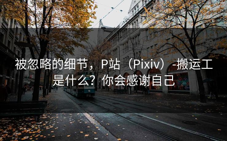 被忽略的细节，P站（Pixiv）-搬运工是什么？你会感谢自己