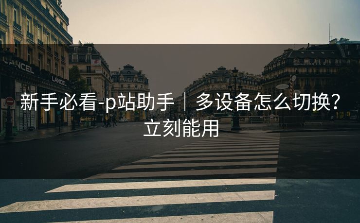 新手必看-p站助手｜多设备怎么切换？立刻能用