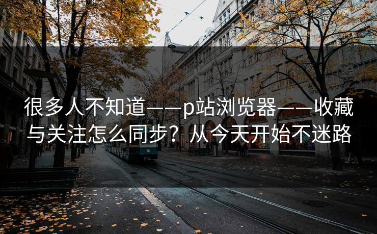 很多人不知道——p站浏览器——收藏与关注怎么同步？从今天开始不迷路