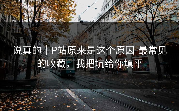 说真的｜P站原来是这个原因-最常见的收藏，我把坑给你填平
