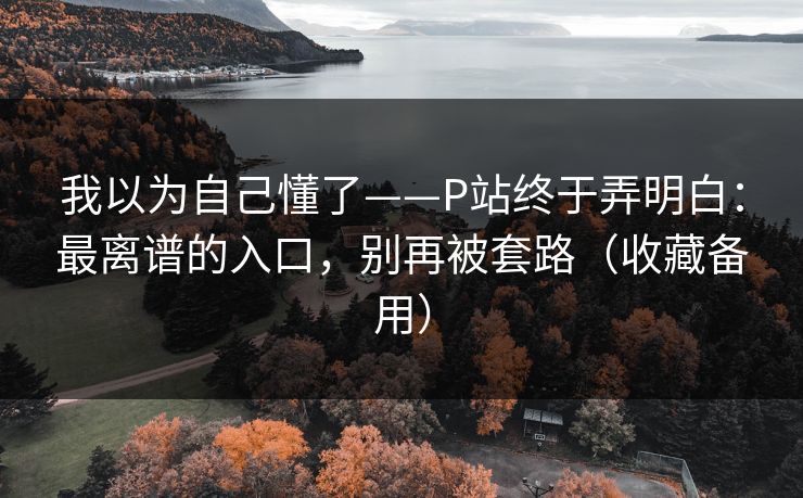 我以为自己懂了——P站终于弄明白：最离谱的入口，别再被套路（收藏备用）