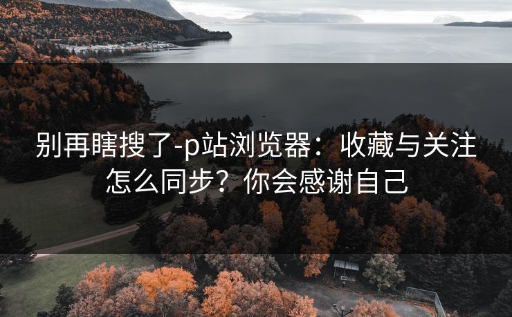 别再瞎搜了-p站浏览器:收藏与关注怎么同步?你会感谢自己